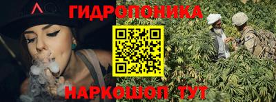 прущие крисы Владивосток
