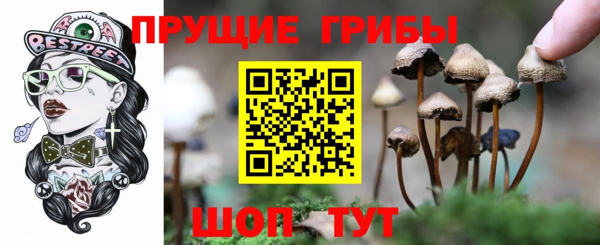 Псилоцибиновые грибы Psilocybine cubensis  Галлюциногенные грибы Psilocybe  Новотроицк  хочу наркоту  Вход с VPN 